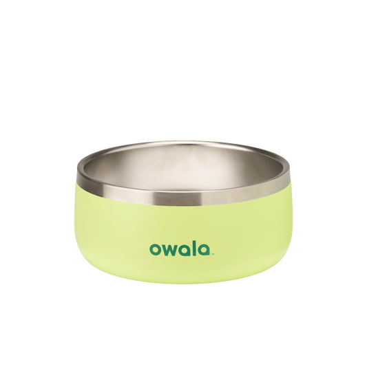 Pet Bowl NZQL5C