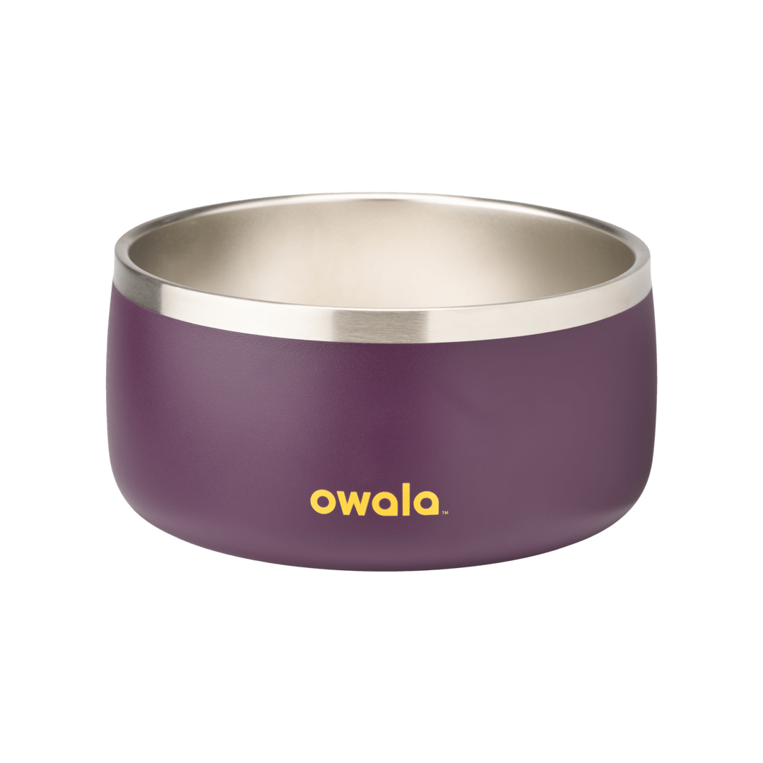 Pet Bowl NZQL5C