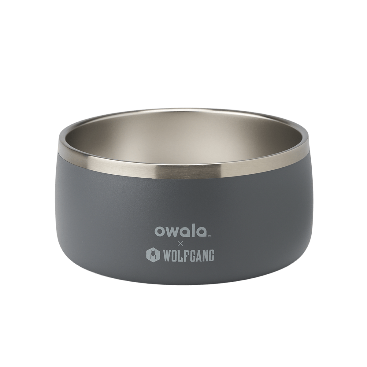 Pet Bowl NZQL5C