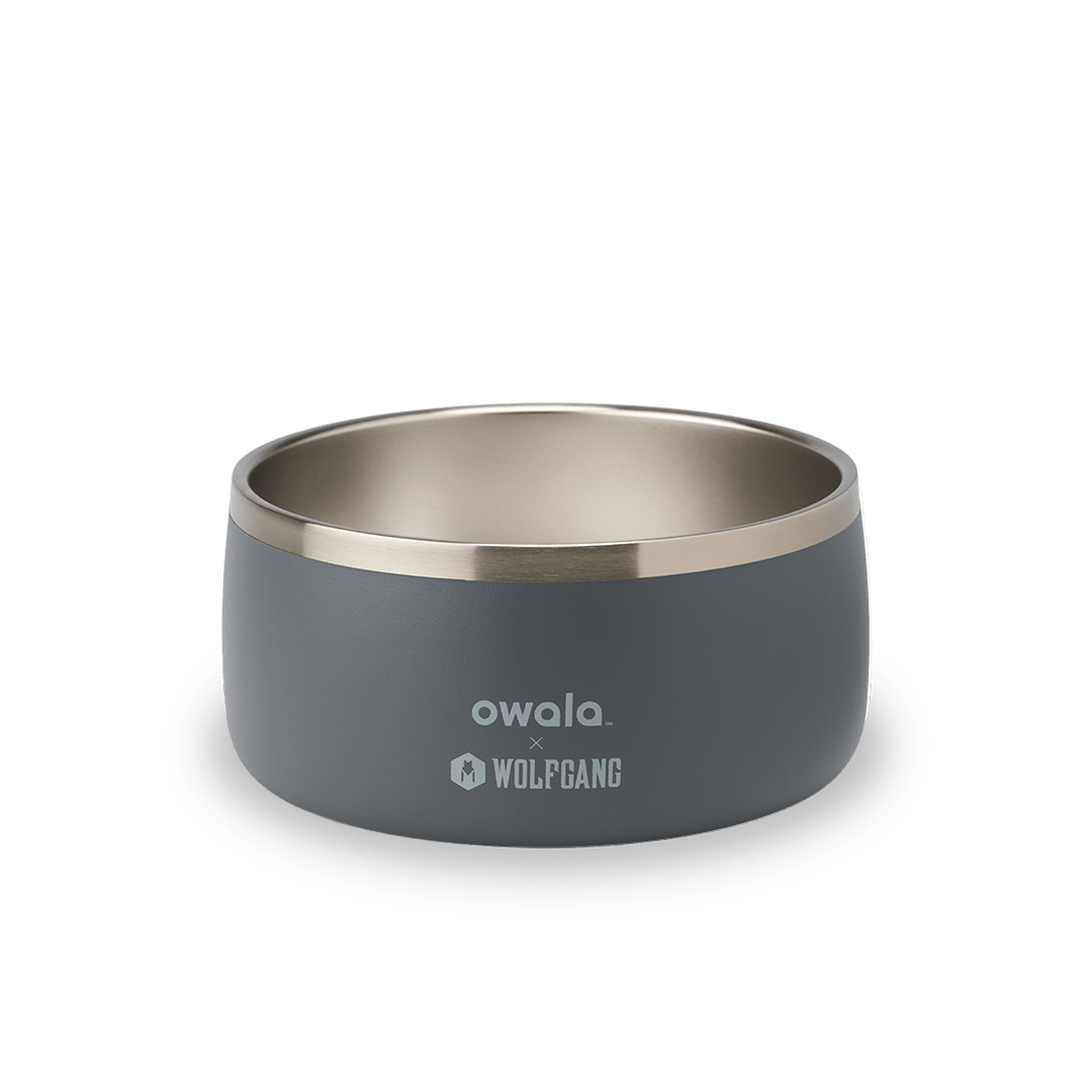 Pet Bowl NZQL5C