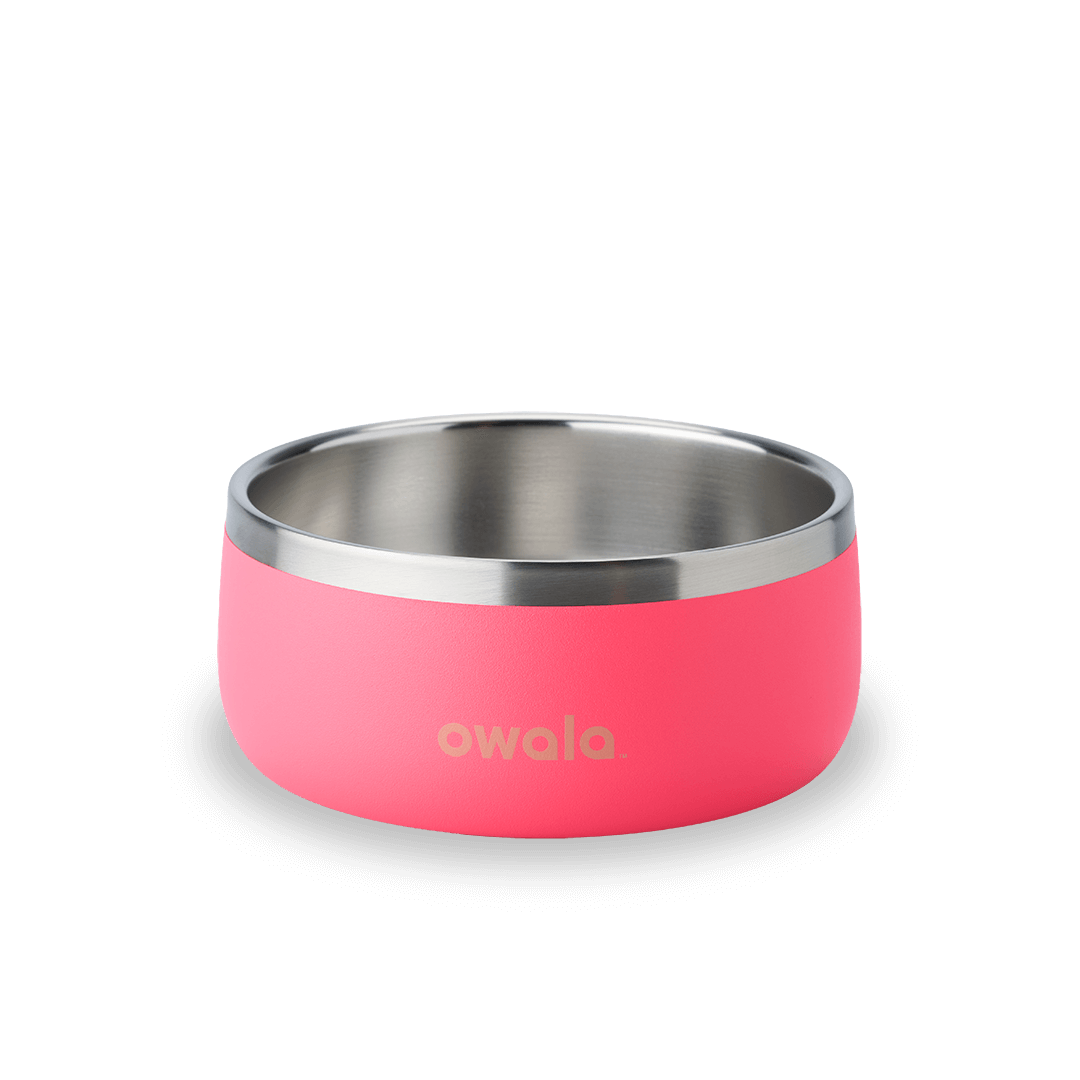 Pet Bowl NZQL5C