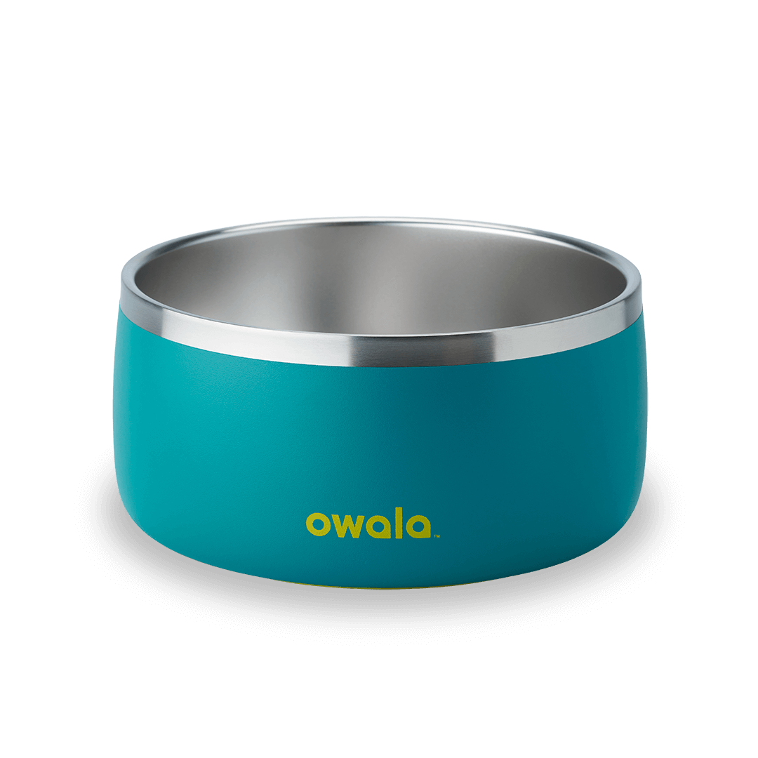 Pet Bowl NZQL5C