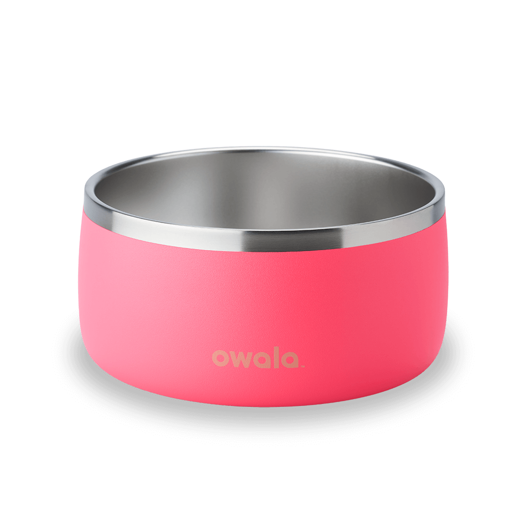 Pet Bowl NZQL5C