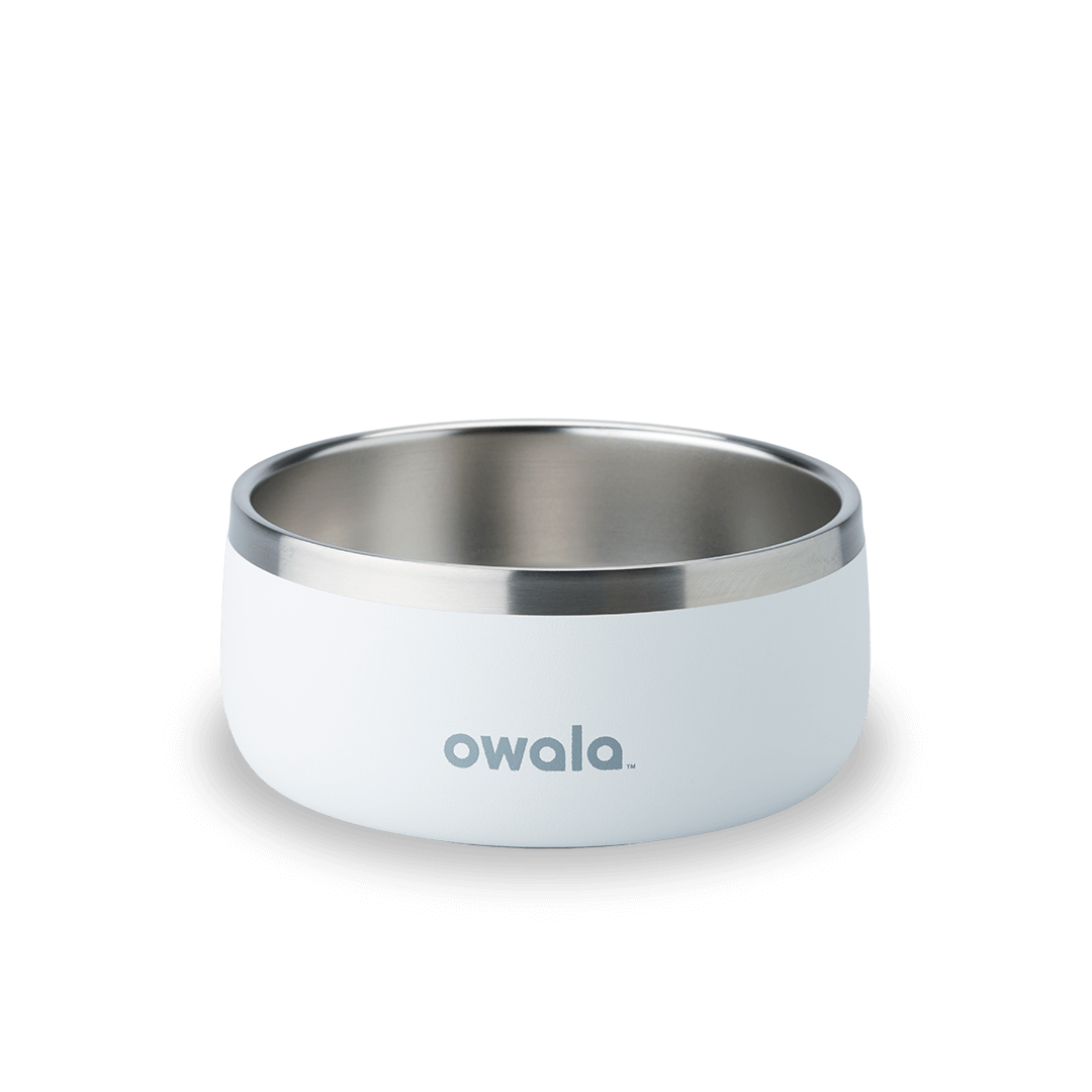 Pet Bowl NZQL5C