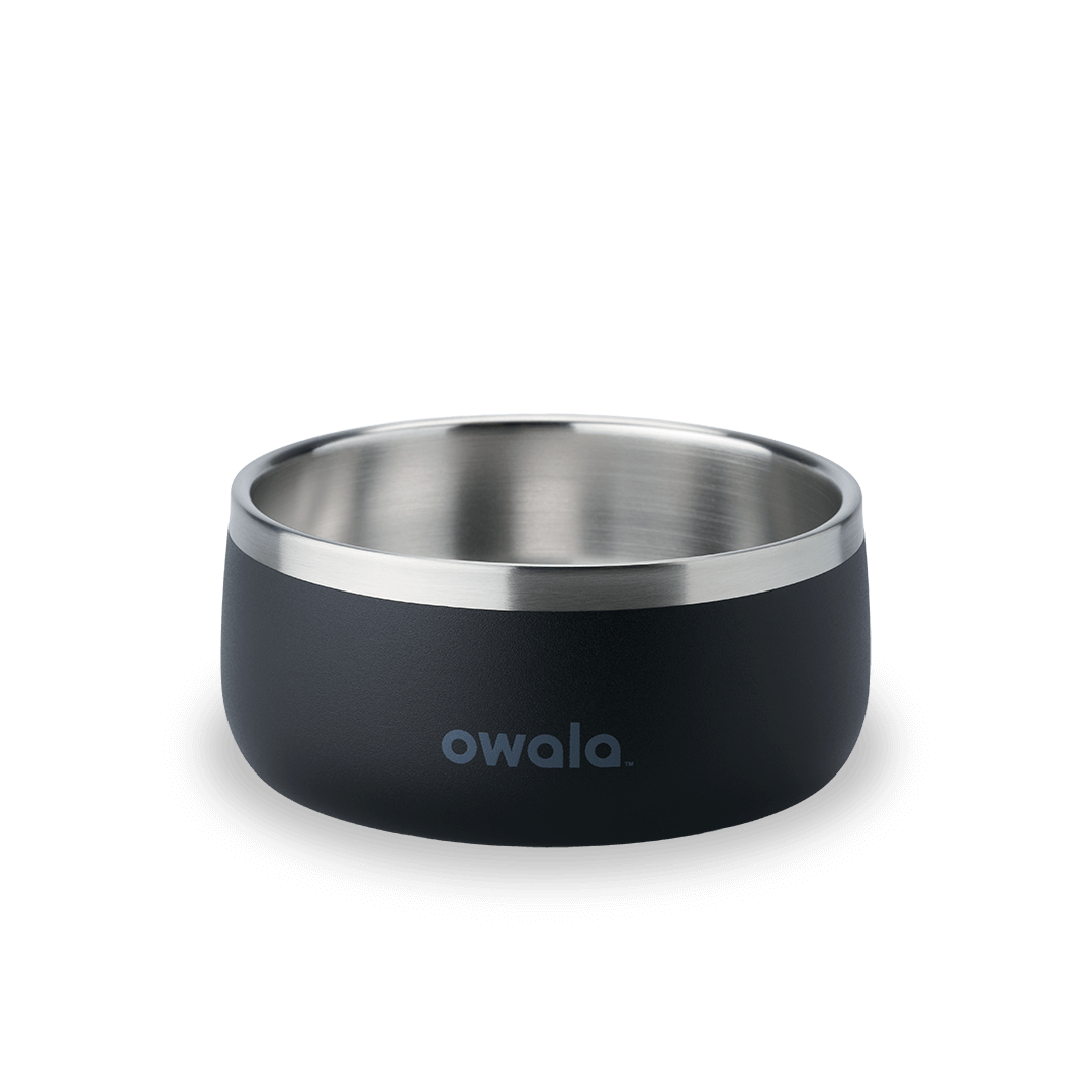 Pet Bowl NZQL5C