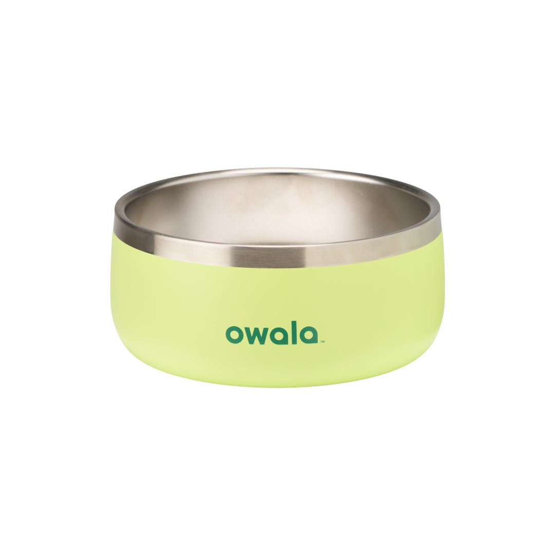 Pet Bowl NZQL5C