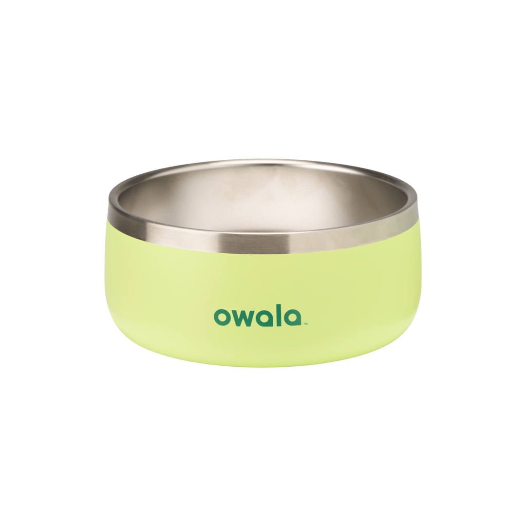 Pet Bowl NZQL5C