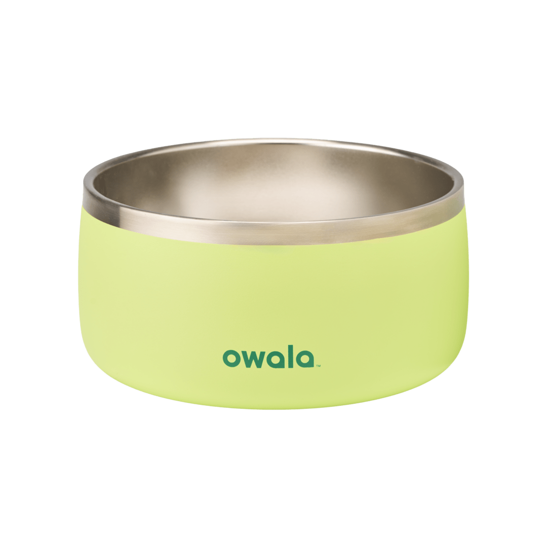 Pet Bowl NZQL5C