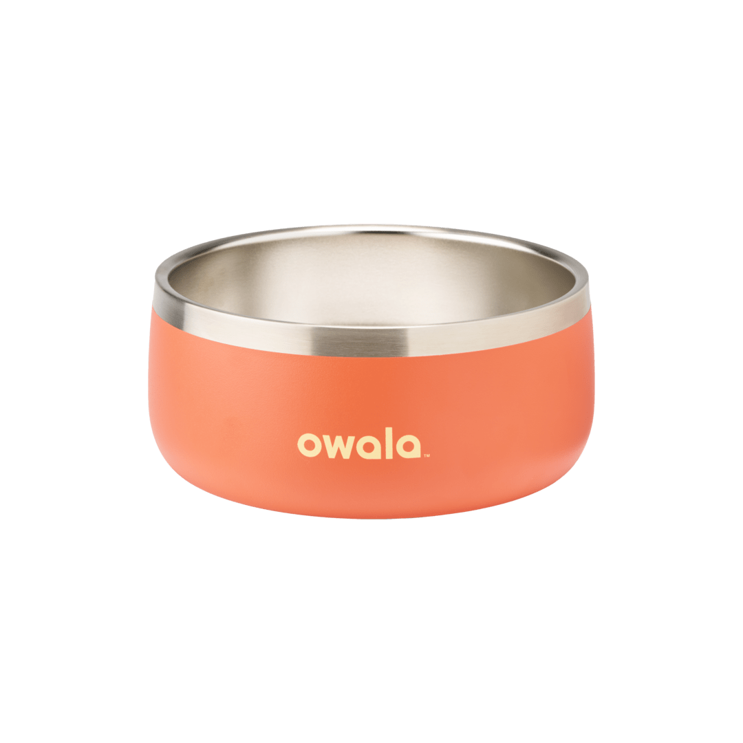 Pet Bowl NZQL5C