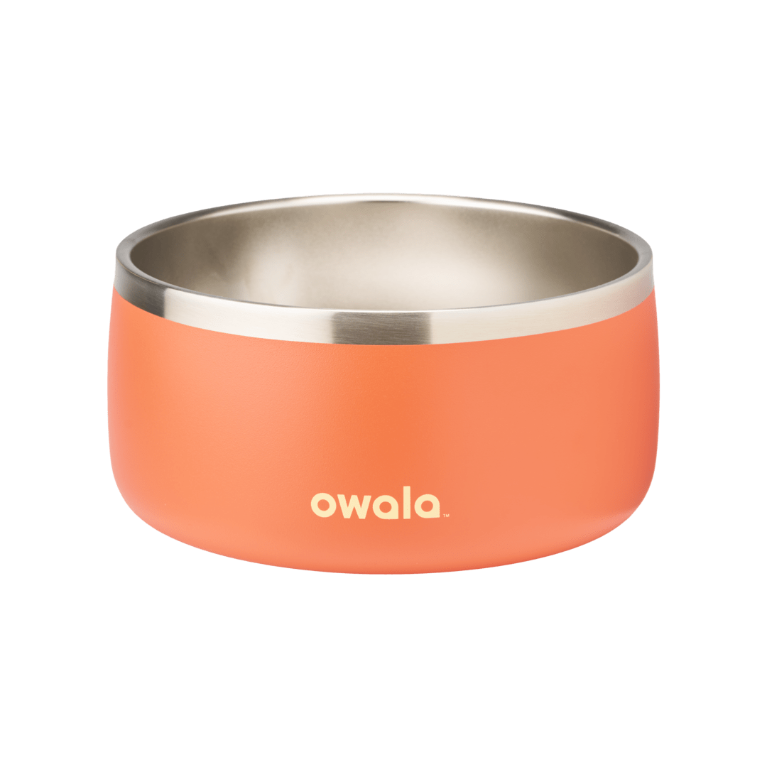 Pet Bowl NZQL5C