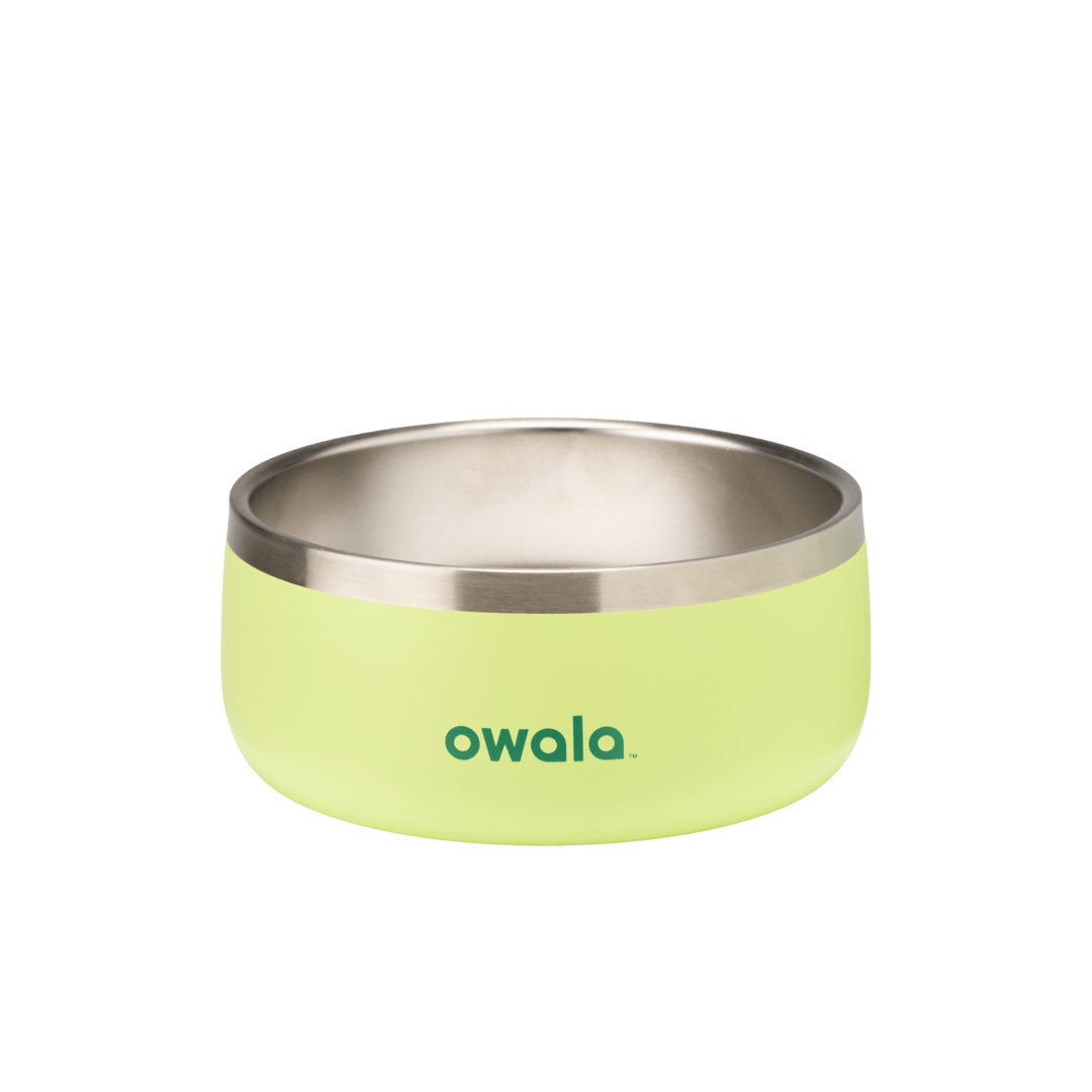 Pet Bowl NZQL5C