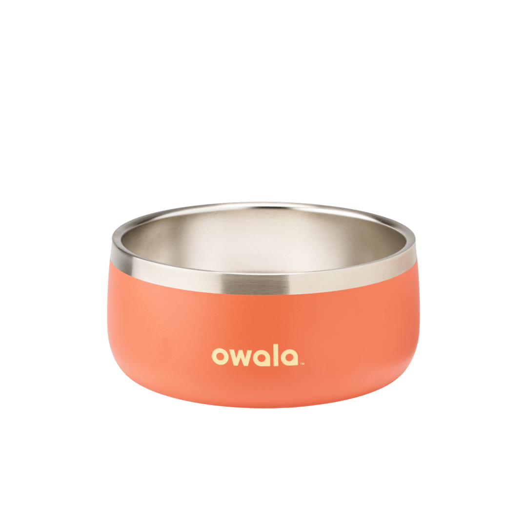 Pet Bowl NZQL5C