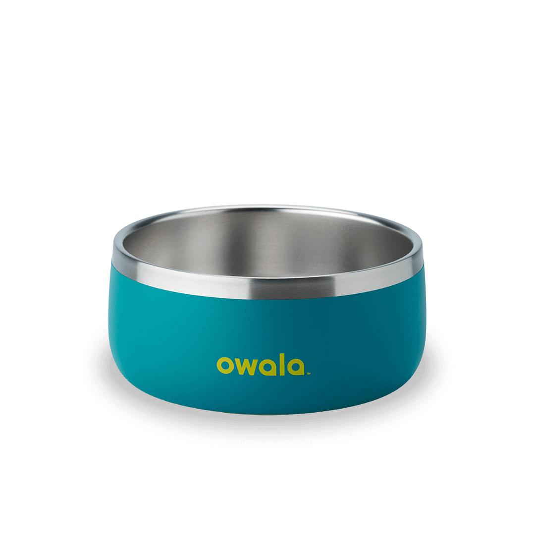 Pet Bowl NZQL5C
