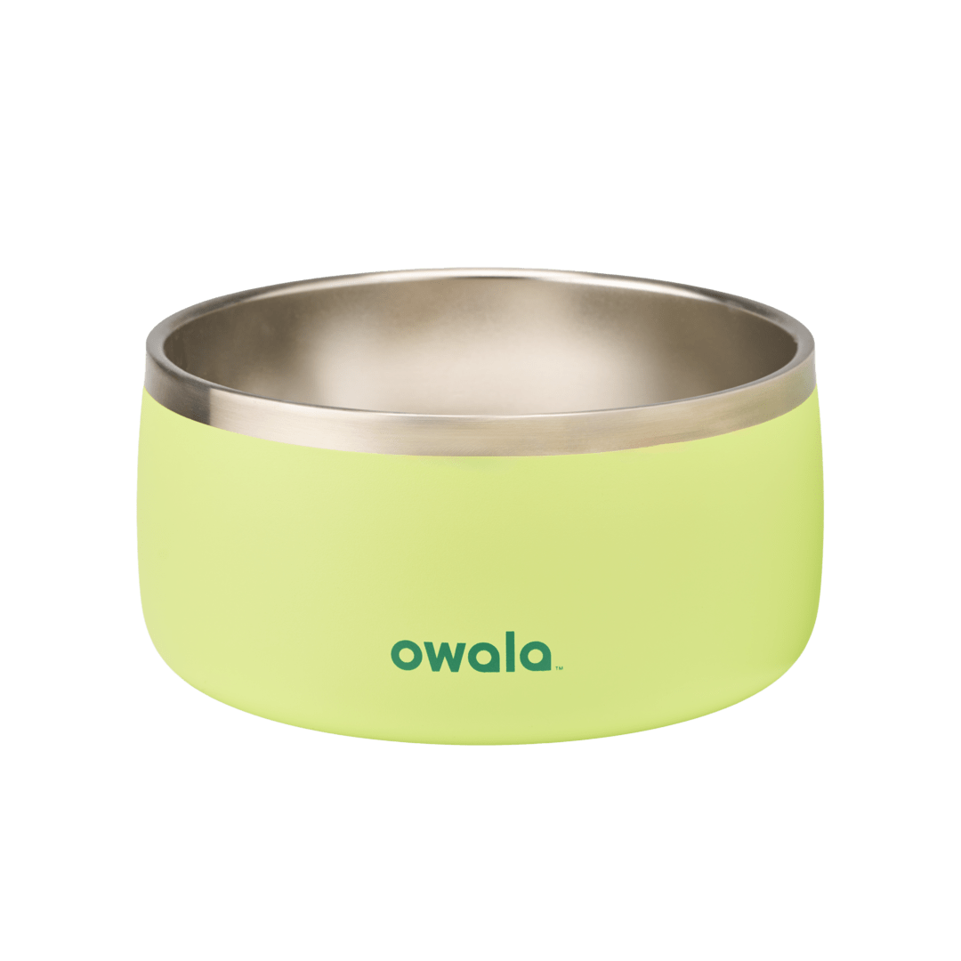 Pet Bowl NZQL5C