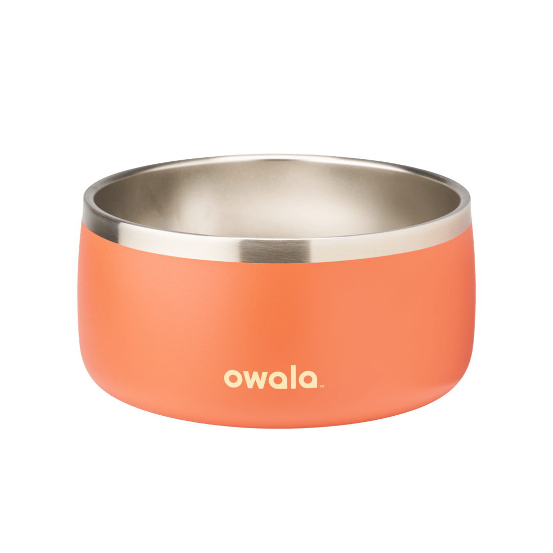 Pet Bowl NZQL5C