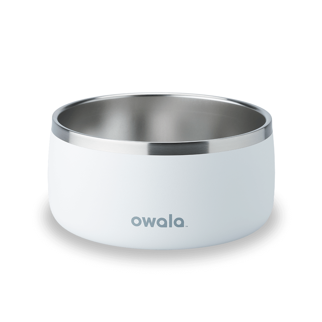 Pet Bowl NZQL5C