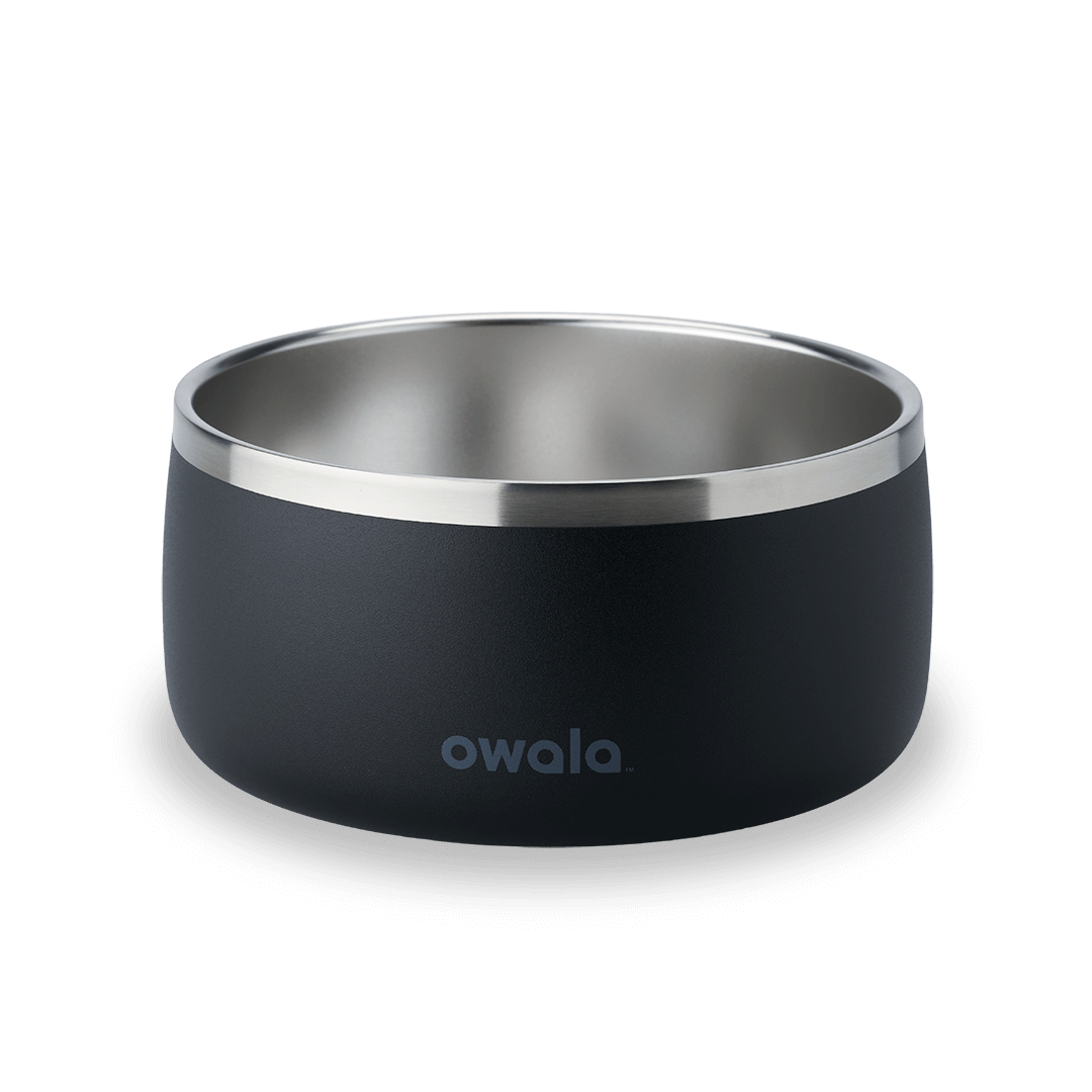 Pet Bowl NZQL5C