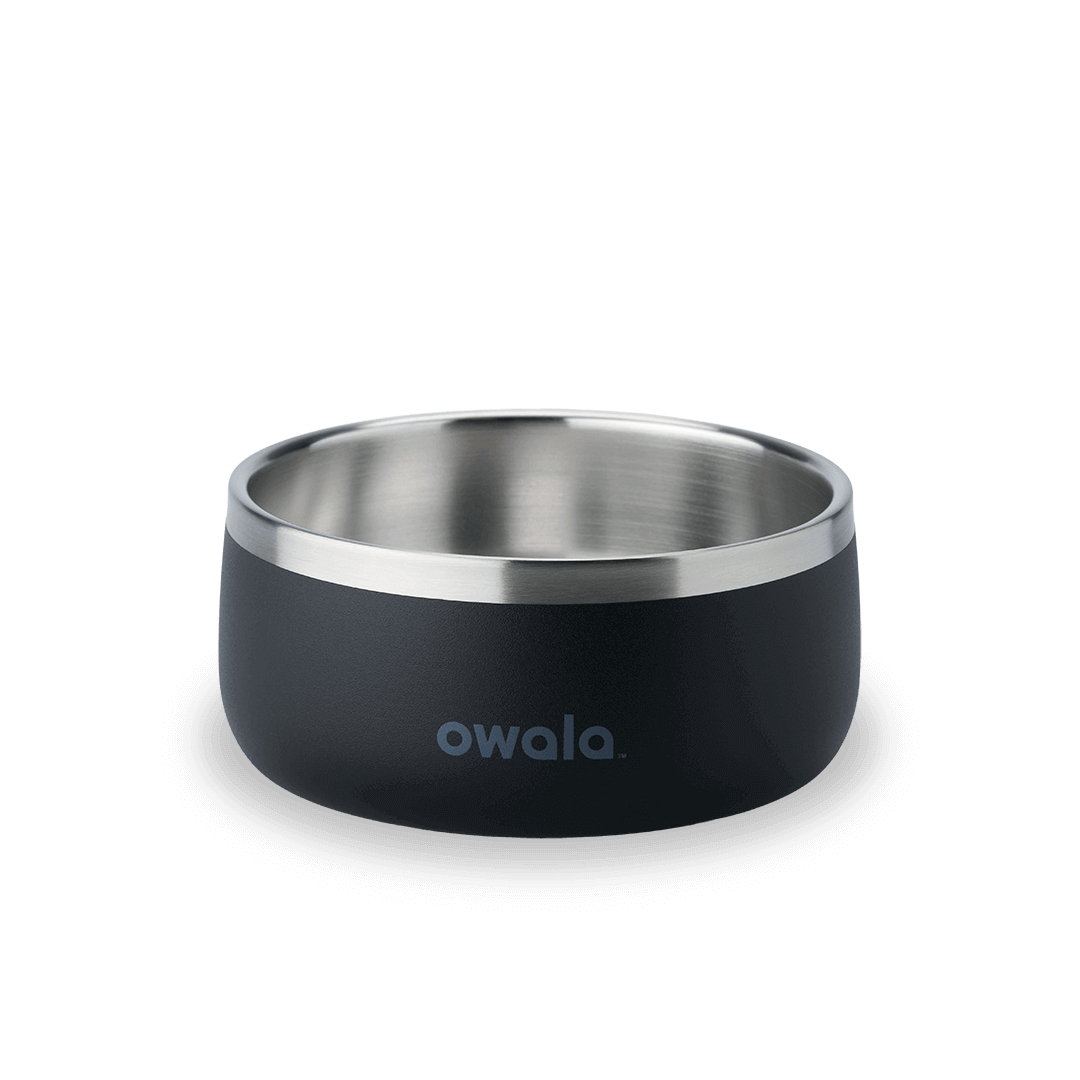 Pet Bowl NZQL5C
